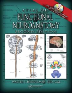 atlas of functional neuroanatomy
