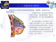 乳腺增生课件