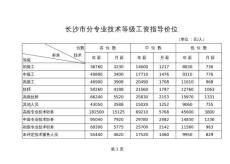"長沙市分專業技術等級工資指導價位"