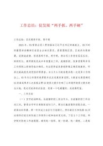 工作总结：促发展“两手抓、两手硬”