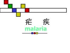 《疟疾》课件