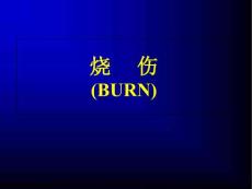 《烧伤》课件