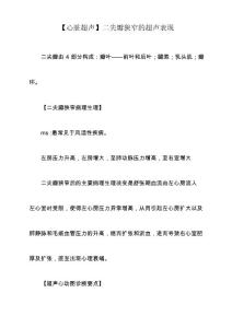 二尖瓣狭窄的超声表现