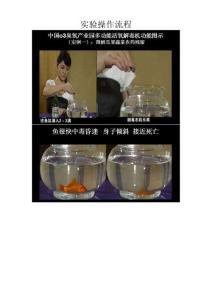 多功能活氧機實驗說明