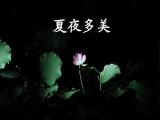 15 夏夜多美 上課用