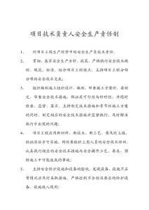 項目技術負責人安全生產責任制