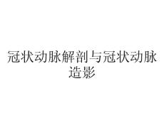 冠状动脉解剖与冠状动脉造影