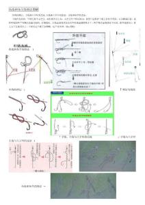 初學必讀：魚線和魚竿的綁法圖解