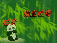 强直性脊柱炎课件