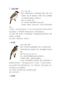 白喉红臀鹎