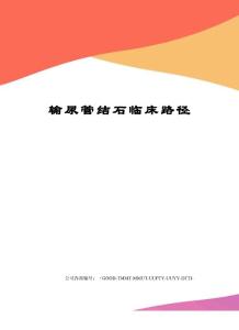 输尿管结石临床路径
