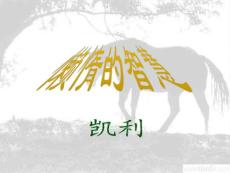 总得叫大车装个够他横竖不说一句话背上的压力往肉里课件