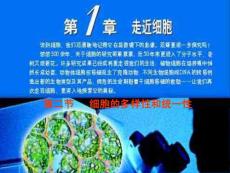 細(xì)胞的多樣性和統(tǒng)一性