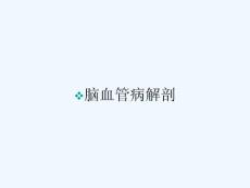 脑血管病解剖 ppt