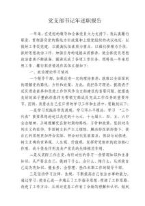 党支部书记年述职报告