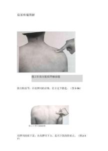 肩部疼痛图解