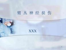 臂丛神经损伤参考课件