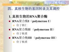 分子生物学2005-9