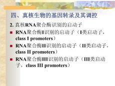 分子生物学2005-10
