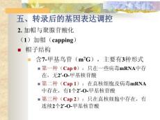 分子生物学2005-14