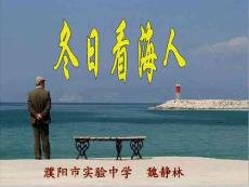 鲁教版语文七下《冬日看海人》ppt课件1