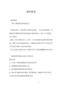 烧伤教案