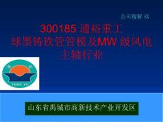 300185 通裕重工 球墨铸铁管管模及MW 级风电主轴行业