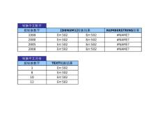 12.24 使用TEXT 函数显示中文格式的年份