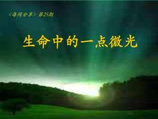 每周分享-生命中的一點微光.pps