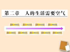 2012年中考生物复习资料课件 第三单元生物圈中的人 第二章人的生活需要空气