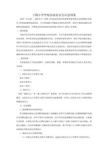 子路小學學校實驗室安全應急預案