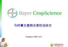 马铃薯各生长阶段病虫害防治技术