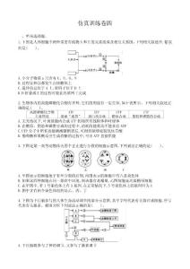 高三生物二轮复习新高考版仿真训练卷四(含解析)