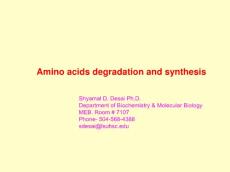 Amino acids degradation and synthesis