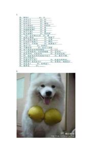 最新超級搞笑趣圖