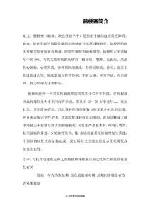 脑梗塞简介