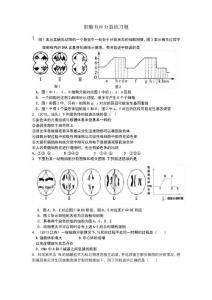細胞有絲分裂練習題