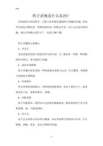 鸽子消瘦是什么原因？