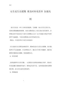 石生花生长缓慢 要及时补充营养 加强光照