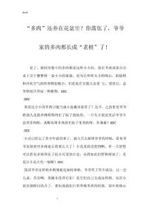 “多肉”还养在花盆里？你落伍了，爷爷家的多肉都长成“老桩”了！