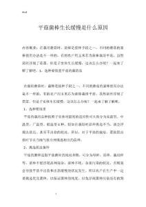 平菇菌棒生长缓慢是什么原因