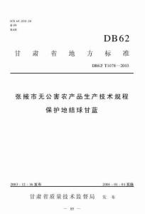 DB62T 1078-2003 张掖市无公害农产品生产技术规程