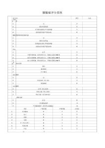 腰腿痛评分系统