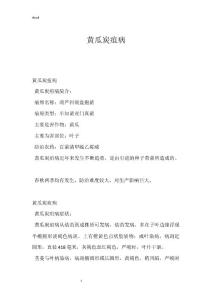黄瓜炭疽病