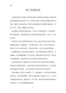 鸭子的副伤寒