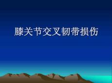 膝关节交叉韧带损伤