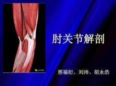 肘关节创伤