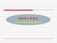 慢性肾小球肾炎