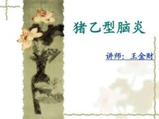 猪乙型脑炎