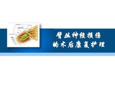 臂丛神经损伤的康复护理